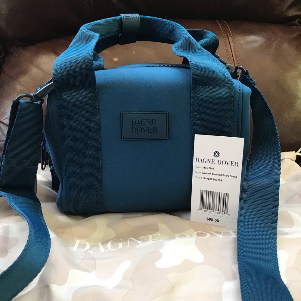Dagne Dover Extra Small Landon Carryall (Bay Blue)